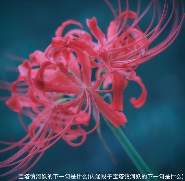 宝塔镇河妖的下一句是什么(内涵段子宝塔镇河妖的下一句是什么)