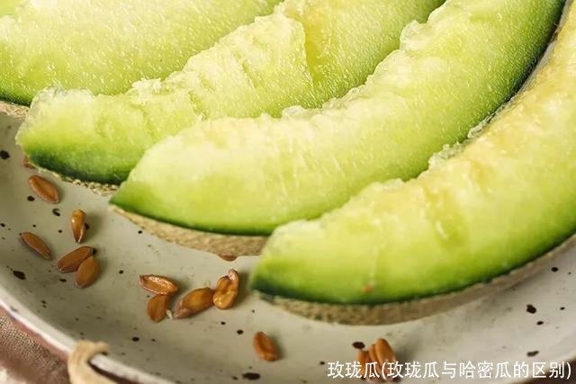 玫珑瓜(玫珑瓜与哈密瓜的区别)