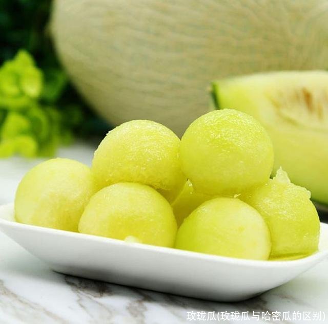玫珑瓜(玫珑瓜与哈密瓜的区别)