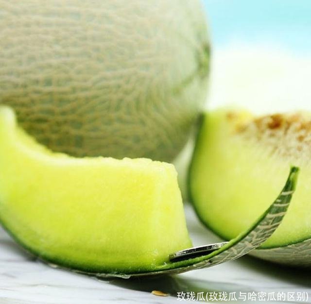 玫珑瓜(玫珑瓜与哈密瓜的区别)