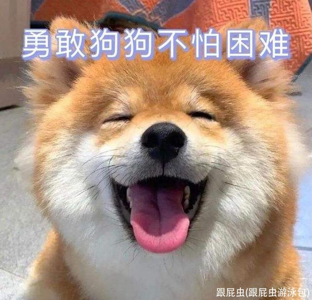 跟屁虫(跟屁虫游泳包)