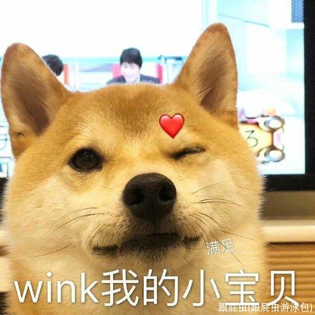 跟屁虫(跟屁虫游泳包)