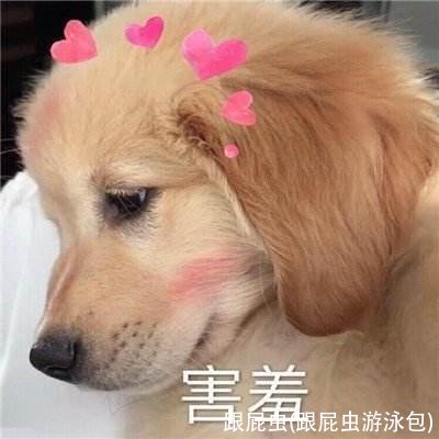 跟屁虫(跟屁虫游泳包)