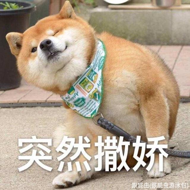 跟屁虫(跟屁虫游泳包)