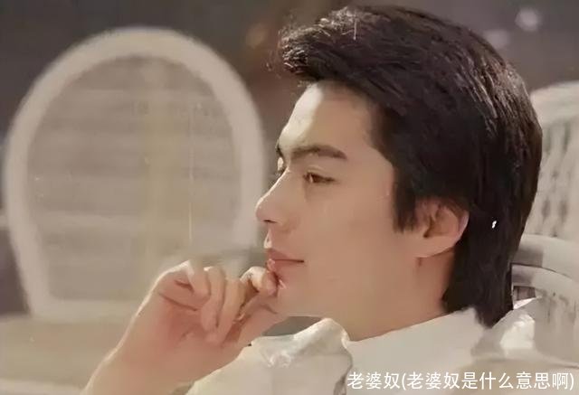 老婆奴(老婆奴是什么意思啊)