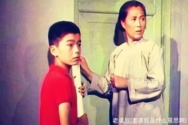 老婆奴(老婆奴是什么意思啊)