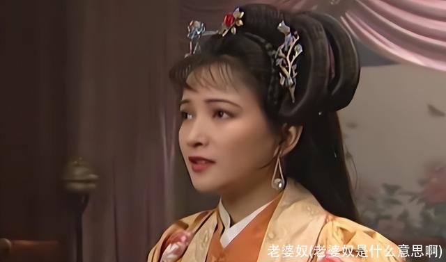 老婆奴(老婆奴是什么意思啊)