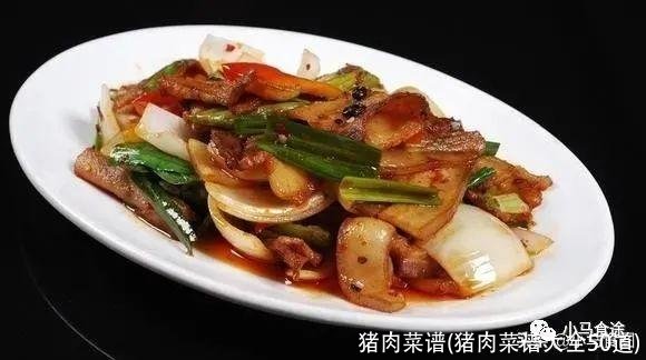 猪肉菜谱(猪肉菜谱大全50道)