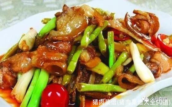 猪肉菜谱(猪肉菜谱大全50道)