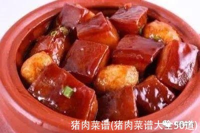 猪肉菜谱(猪肉菜谱大全50道)