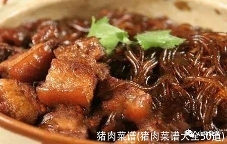 猪肉菜谱(猪肉菜谱大全50道)
