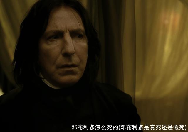 邓布利多怎么死的(邓布利多是真死还是假死)