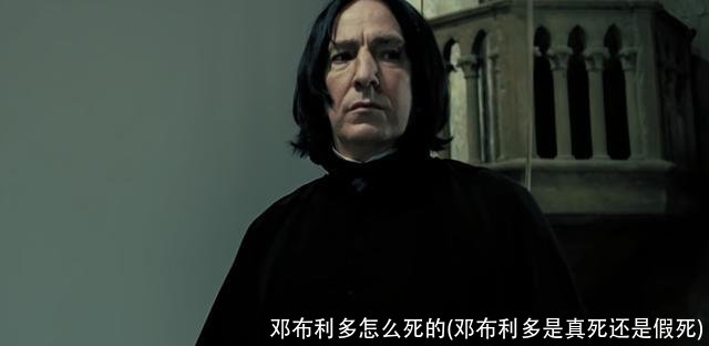 邓布利多怎么死的(邓布利多是真死还是假死)