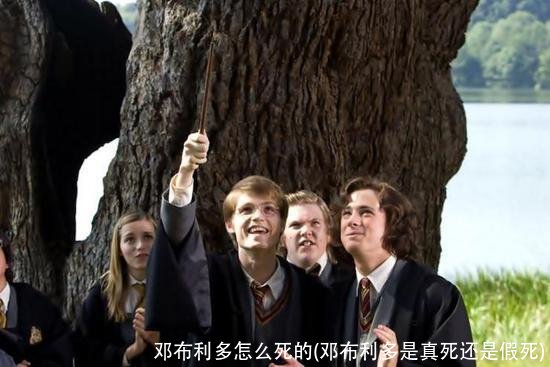 邓布利多怎么死的(邓布利多是真死还是假死)