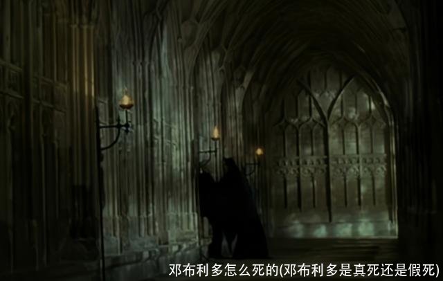 邓布利多怎么死的(邓布利多是真死还是假死)