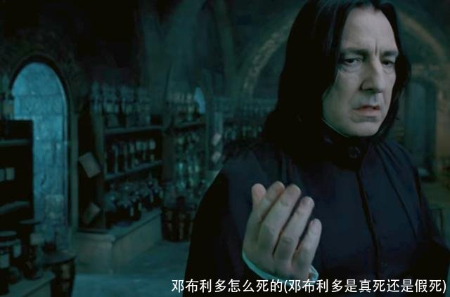 邓布利多怎么死的(邓布利多是真死还是假死)