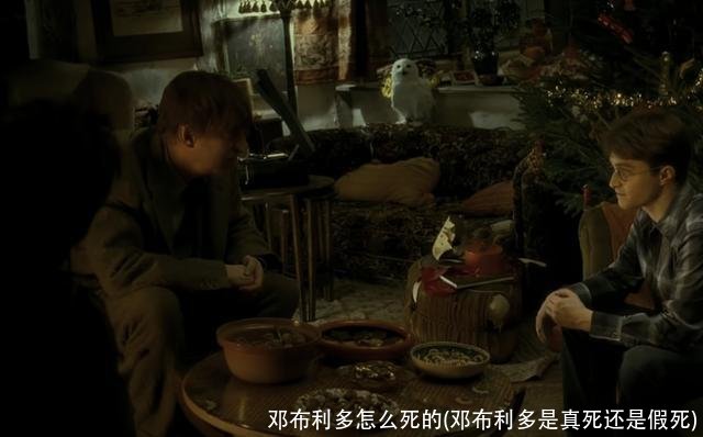 邓布利多怎么死的(邓布利多是真死还是假死)