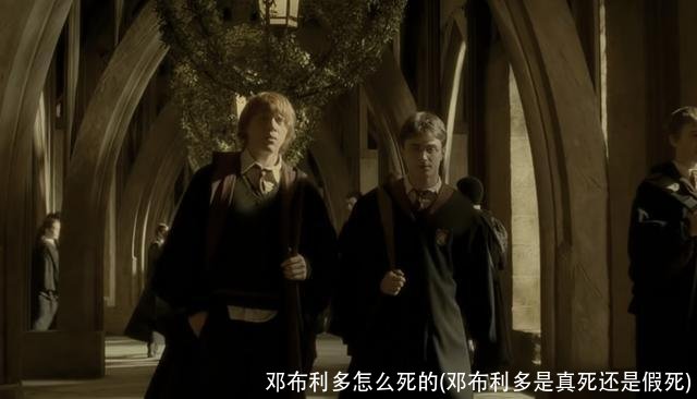 邓布利多怎么死的(邓布利多是真死还是假死)