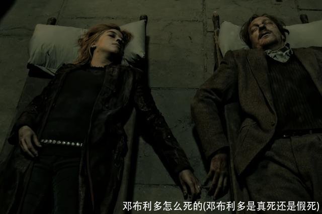 邓布利多怎么死的(邓布利多是真死还是假死)