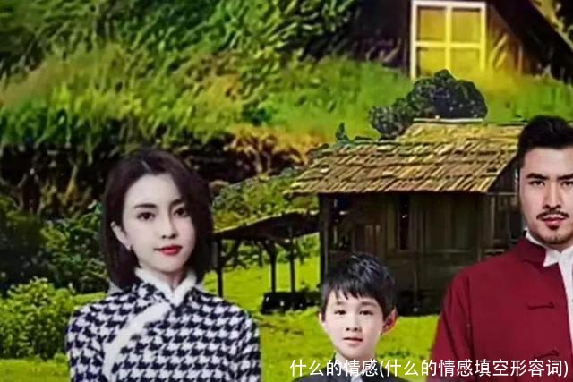 什么的情感(什么的情感填空形容词)