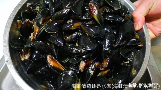 海虹清蒸还是水煮(海虹清蒸还是水煮好)