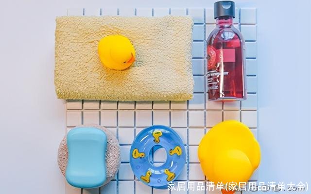 家居用品清单(家居用品清单大全)