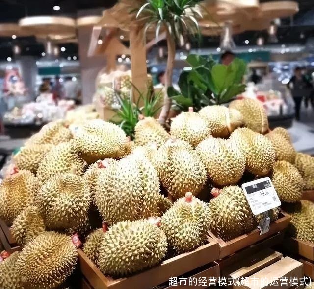超市的经营模式(超市的运营模式)