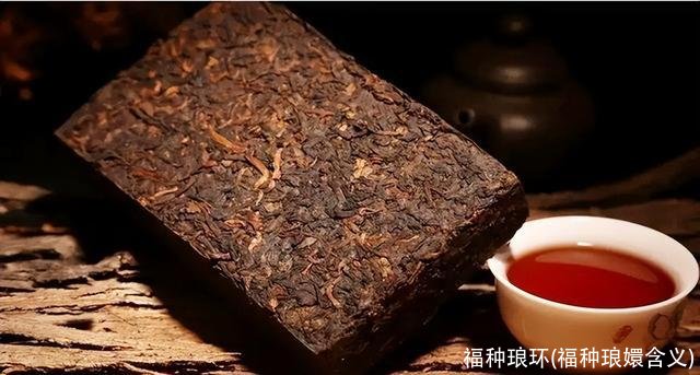 福种琅环(福种琅嬛含义)