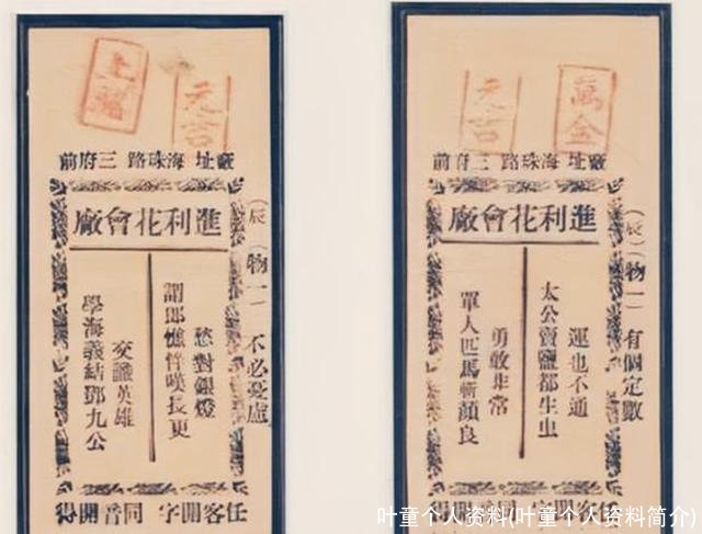 叶童个人资料(叶童个人资料简介)