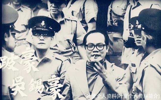 叶童个人资料(叶童个人资料简介)