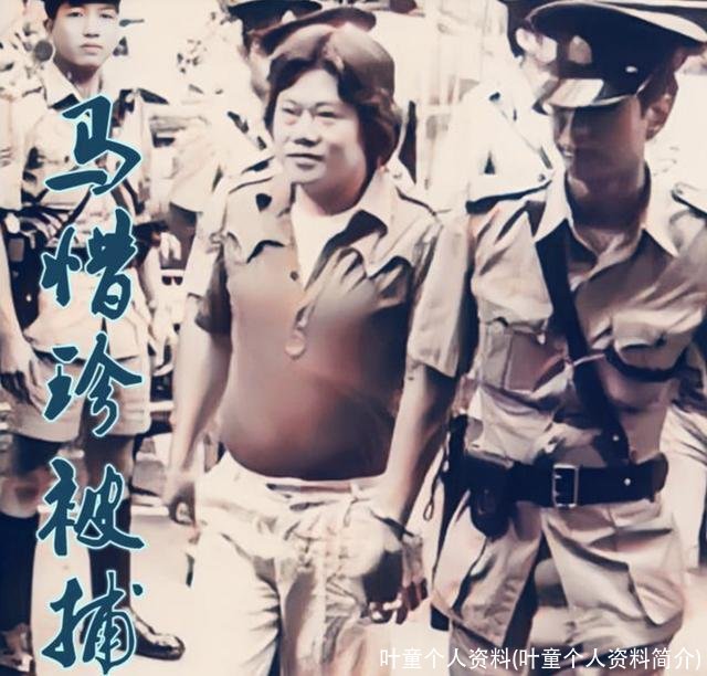 叶童个人资料(叶童个人资料简介)