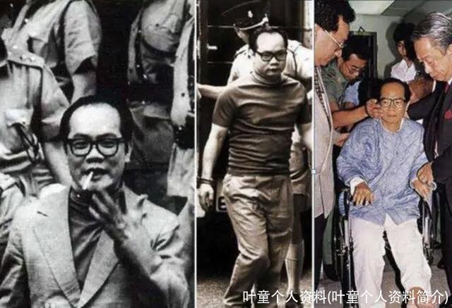 叶童个人资料(叶童个人资料简介)
