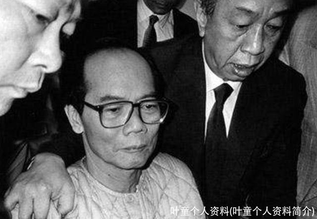 叶童个人资料(叶童个人资料简介)