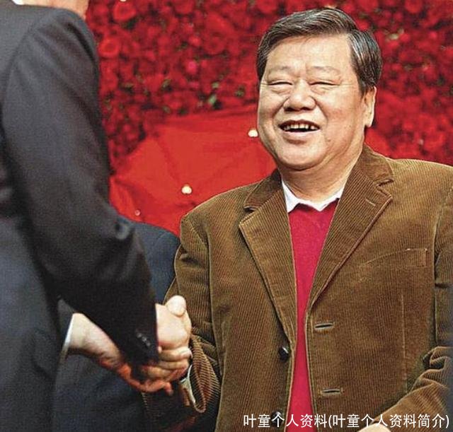 叶童个人资料(叶童个人资料简介)