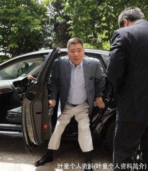 叶童个人资料(叶童个人资料简介)