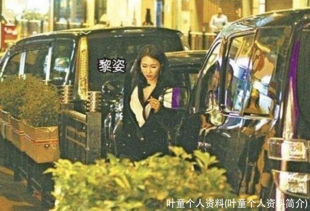 叶童个人资料(叶童个人资料简介)