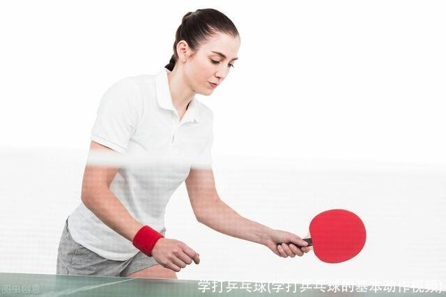 学打乒乓球(学打乒乓球的基本动作视频)