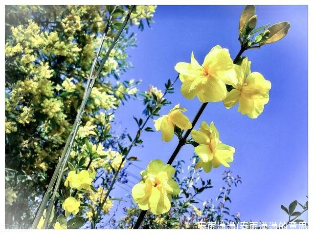 春雨潇潇(春雨潇潇的意思)