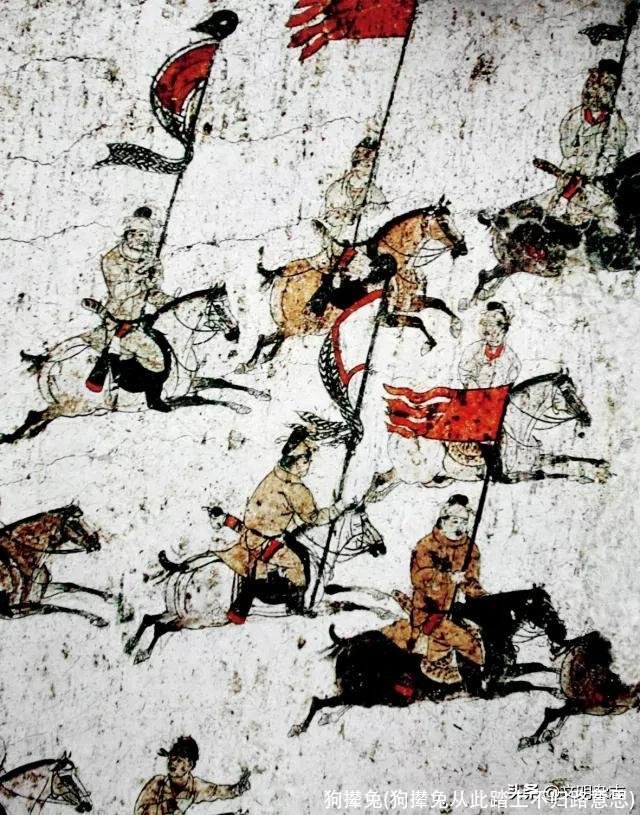 狗撵兔(狗撵兔从此踏上不归路意思)