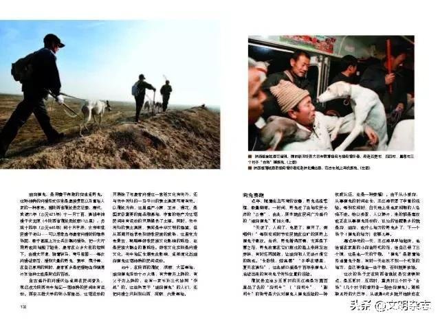 狗撵兔(狗撵兔从此踏上不归路意思)