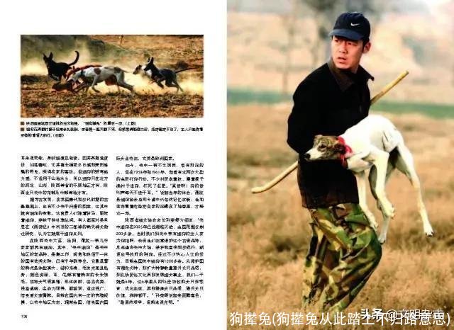 狗撵兔(狗撵兔从此踏上不归路意思)