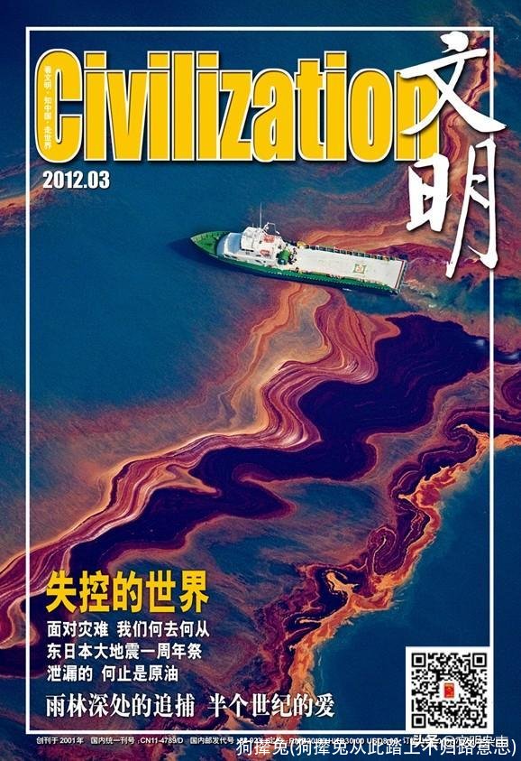 狗撵兔(狗撵兔从此踏上不归路意思)