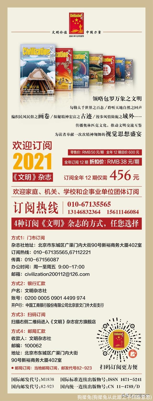 狗撵兔(狗撵兔从此踏上不归路意思)