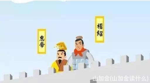 山加金(山加金读什么)