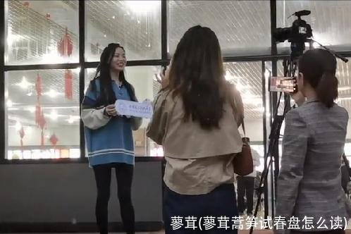 蓼茸(蓼茸蒿笋试春盘怎么读)