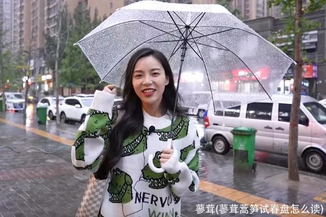 蓼茸(蓼茸蒿笋试春盘怎么读)