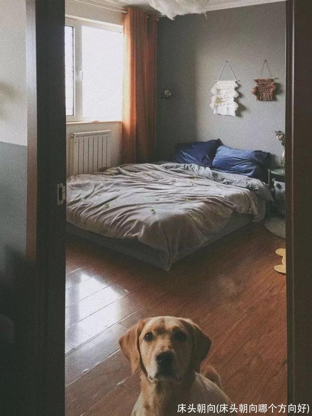 床头朝向(床头朝向哪个方向好)