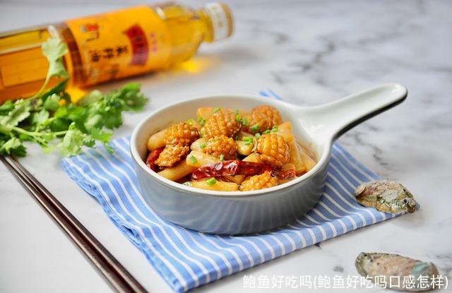 鲍鱼好吃吗(鲍鱼好吃吗口感怎样)