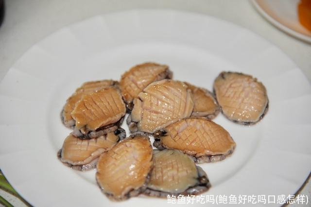 鲍鱼好吃吗(鲍鱼好吃吗口感怎样)