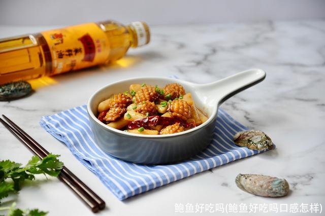 鲍鱼好吃吗(鲍鱼好吃吗口感怎样)